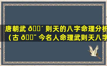 唐朝武 🌴 则天的八字命理分析（古 🐯 今名人命理武则天八字）